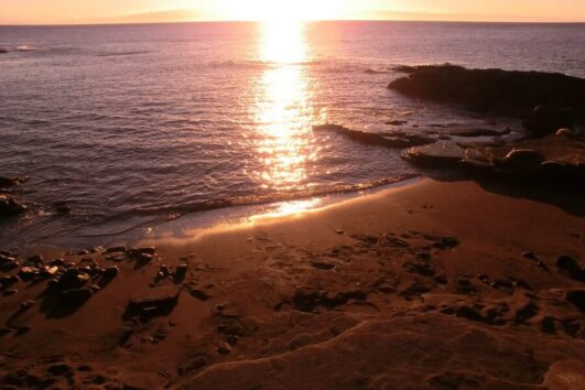 Galapagos Island Hopping Ecuador