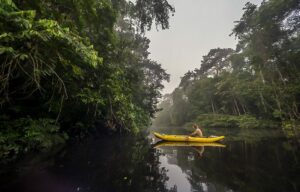 Kayak tour Amazon Yasuni Ecuador