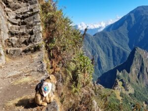 Machu Picchu berg uitzicht