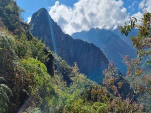 Trail to Machu Picchu