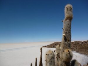 Salar de Uyuni tour in Bolivia