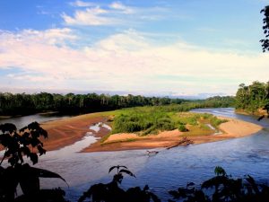 River view in Madidi Amazon Rainforest