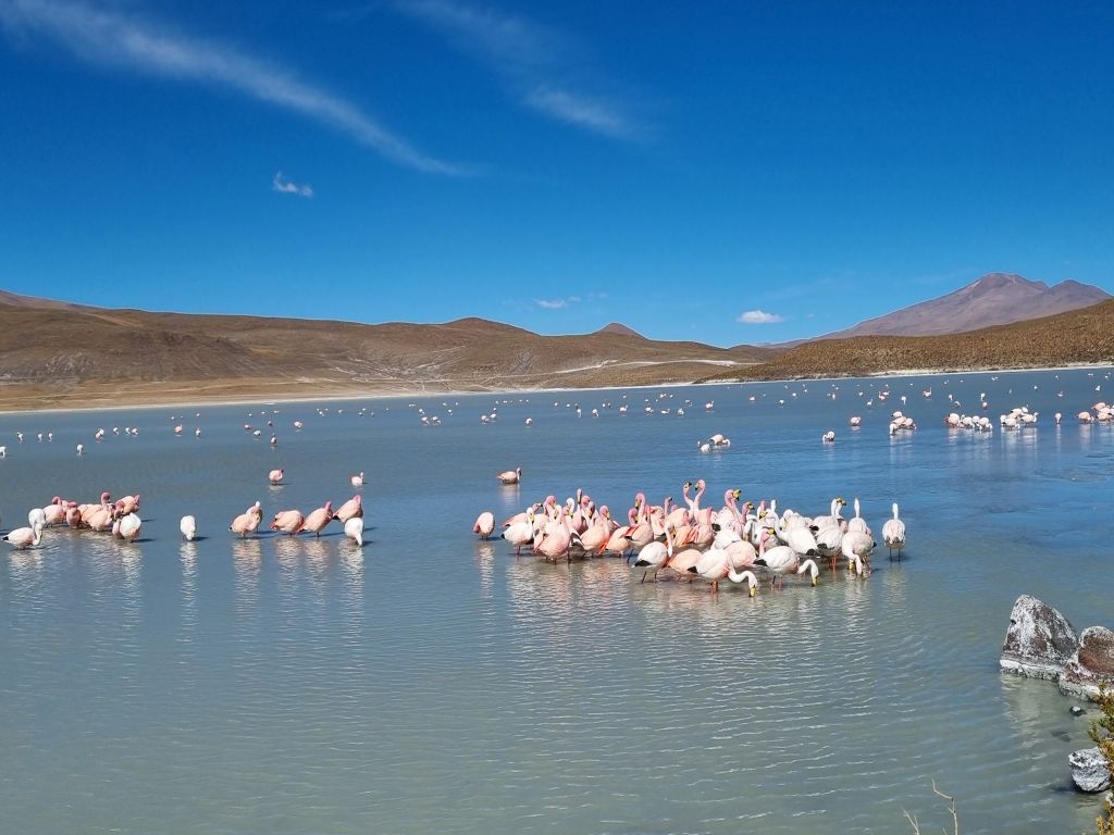 Salar de Uyuni Peru Bolivia Reis